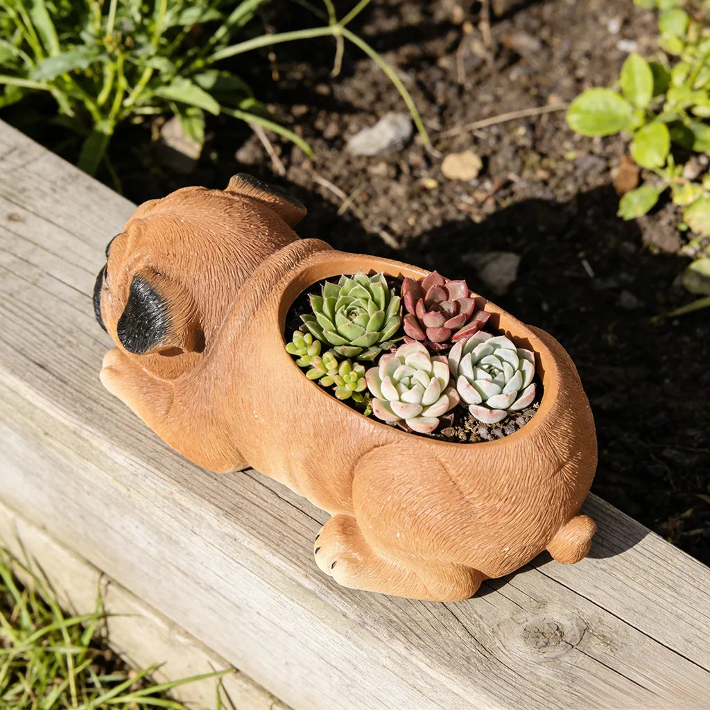The Lazy Pug Planter™