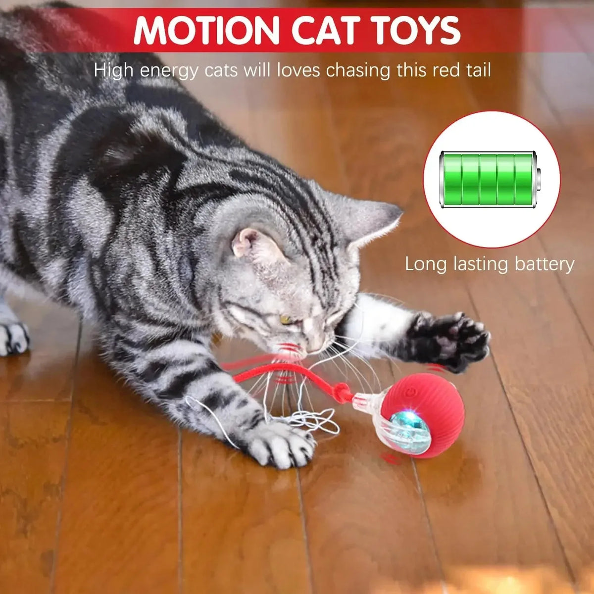 The Roly Pounce Ball™