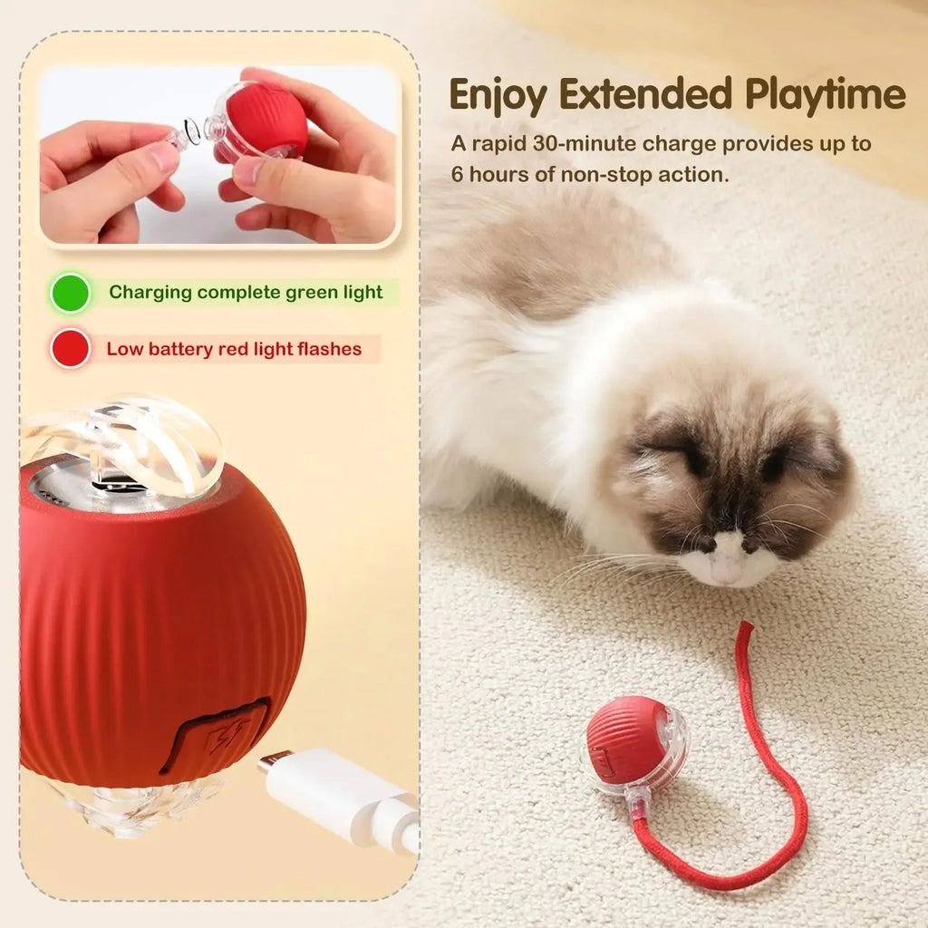 The Roly Pounce Ball™